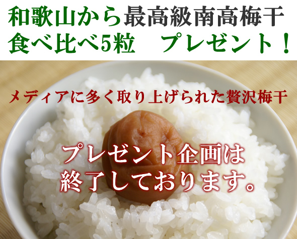 �~�����v���[���g,�~���i�v���[���g- �[���~�X -